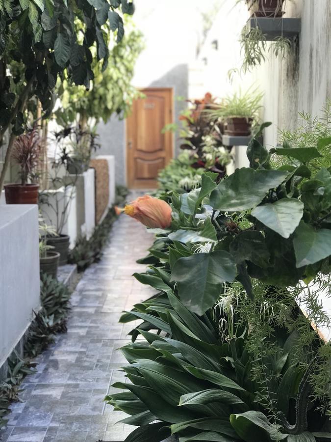 Garden House Piura Apartment Exterior photo